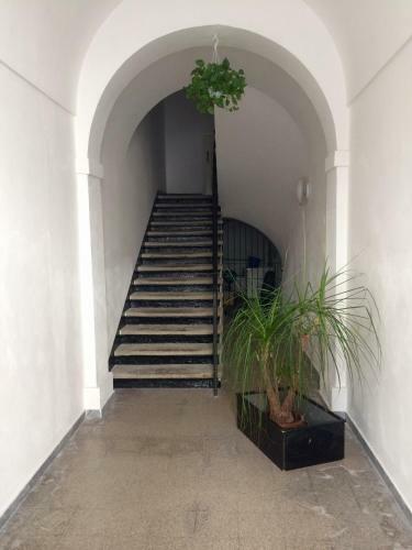 B&B Zia Iaia