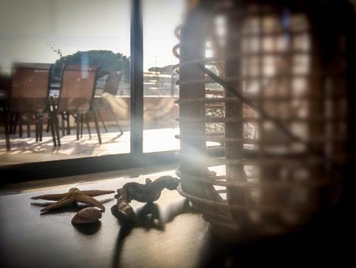 Apartamento Interno 5