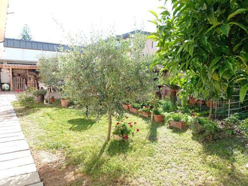 Apartamento Appartamento A Due Passi Dal Mare