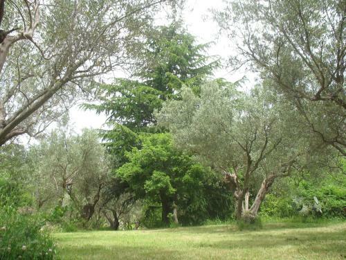 Agroturismo Villa Wanda