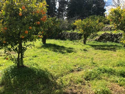 Agroturismo Agriturismo Donnomarco