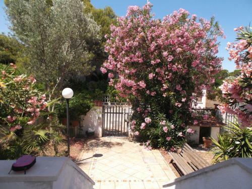 Villa Lucy