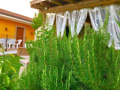 Bed & Breakfast Chalet Negli Ulivi