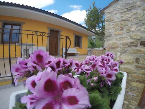 Bed & Breakfast Chalet Negli Ulivi