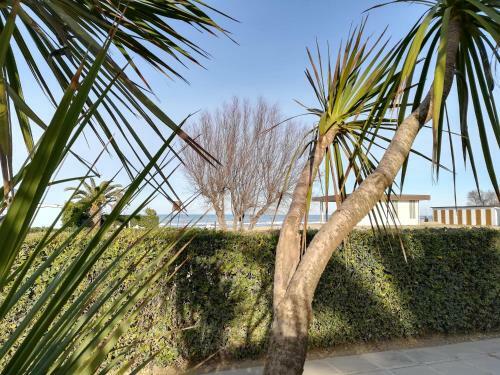 Apartamento La Vela - Appartamento Sul Mare