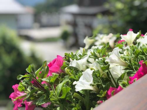 Apartamento Villa Tisot