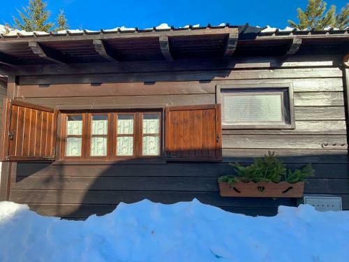 Cozy Bungalow