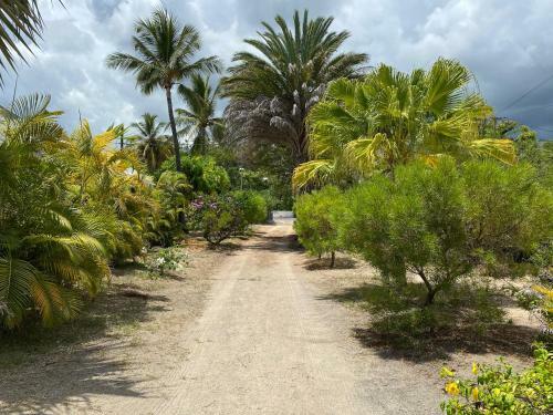 Villa & Bungalow 'coco Des Sables' Les Pieds Dans L'eau