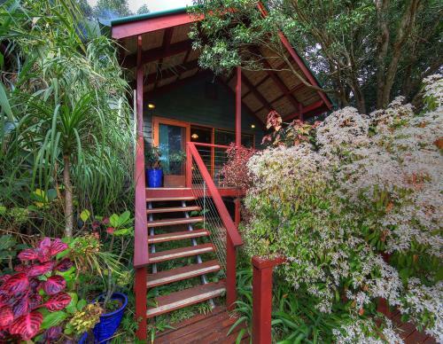 Bed & Breakfast Maleny Tropical Retreat