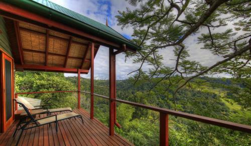 Bed & Breakfast Maleny Tropical Retreat