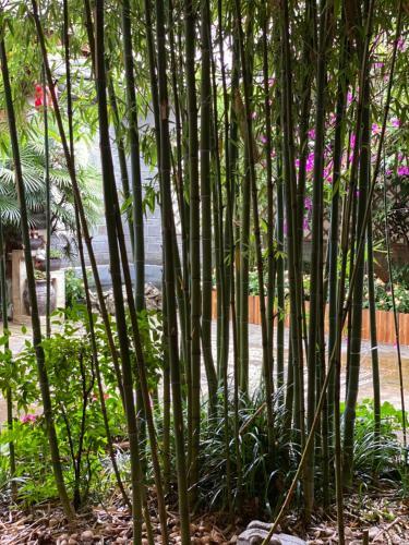 Hotel Xilu Xiaoxie Inn
