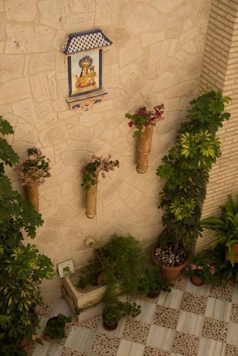 Apartamento Posada De Momo