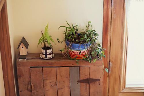 Bed & Breakfast Auberge Carpe Diem