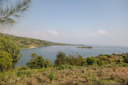 Hostal Room In Studio - Rushel Kivu Resort Ltd
