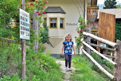 Apartamento Birkenhof - Wohnung Bichel