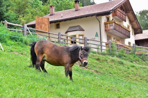 Apartamento Birkenhof - Wohnung Bichel