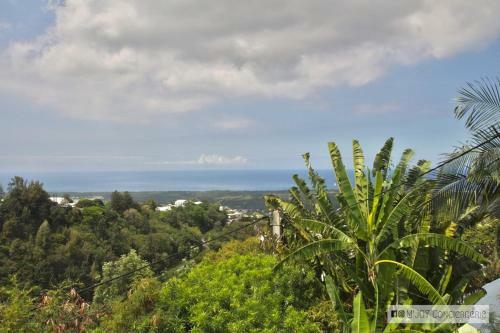 Les Agapanthes: Maison Etang Sale