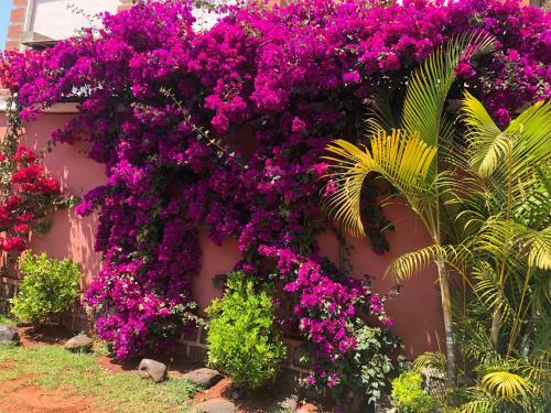 Hostal Petite Flower Guest House