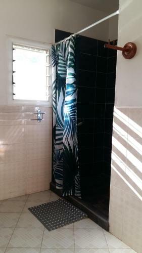 Hostal Palm Guest House