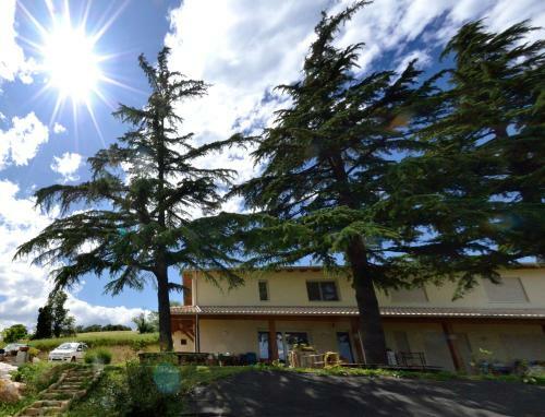 B&B Al Tardino