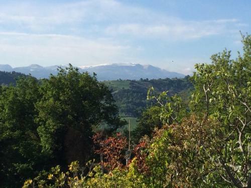 B&B Al Tardino