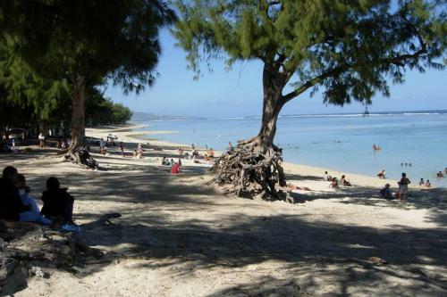 Apartamento Studio Pour Escapade � La R�union; �le Intense