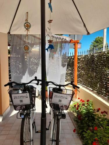 Bed & Breakfast Silvi D'amare