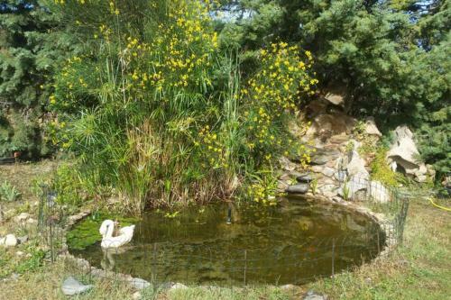 A Paradise In Sardinia. 5 Minutes From The Sea