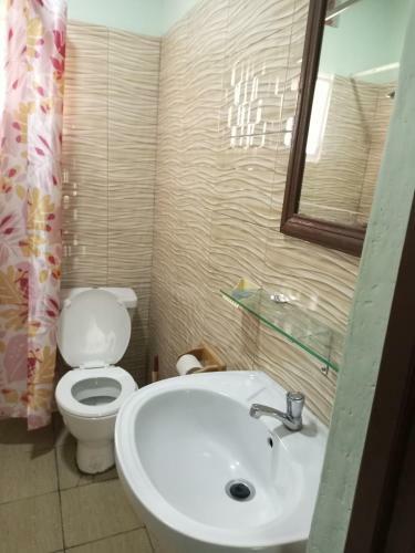 Hostal Puma Garden And Suites