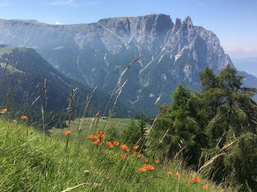 Apartamento Appartment Pircher 1