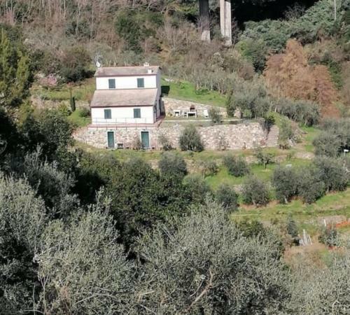 Apartamento Villa Succo