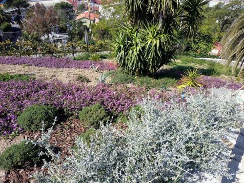 Apartamento Appartamento Taggiasca A Riva Trigoso