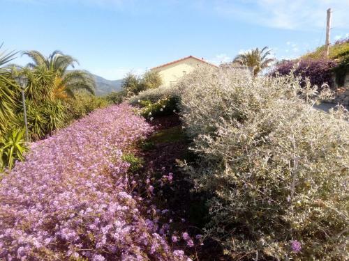 Apartamento Appartamento Taggiasca A Riva Trigoso