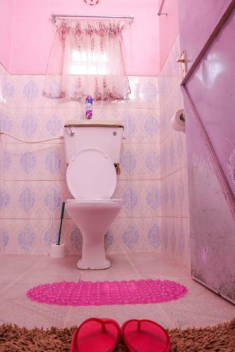 Hostal Pink House