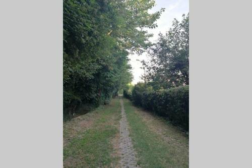 Apartamento La Casetta, Appartamento Nel Verde A Sommacampagna
