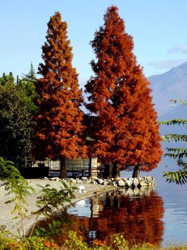 Apartamento Castello Di Zorzino Iseo Lake