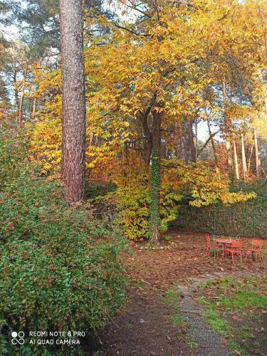 Hostal L'oasi Nel Bosco