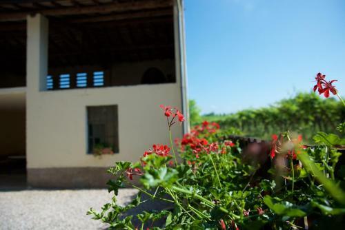 Agroturismo Agriturismo Albarello