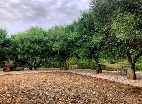 B&B Casa Vacanza Centro Sardegna