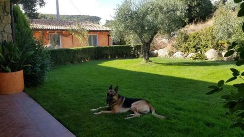 B&B Casa Vacanza Centro Sardegna