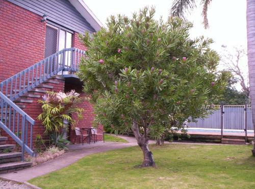 Apartamentos Harbour Lights Holiday Units