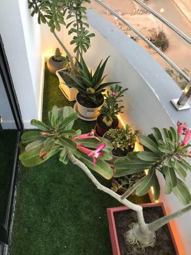 Apartamento Appart Lux