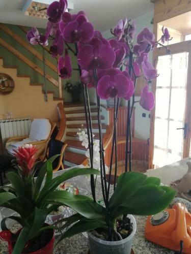 B&B Passo Del Falco