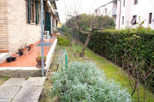 Apartamento S253 - Sirolo, Delizioso Trilocale A Due Passi Dal Centro