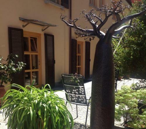 B&B Panemiele