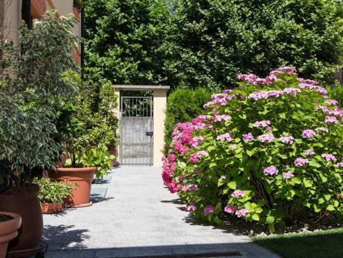 B&B Panemiele