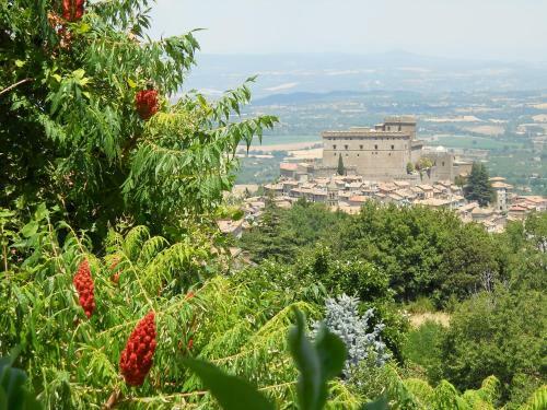 La Bastia Hotel & Resort