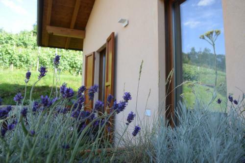 Bed & Breakfast Al-colle