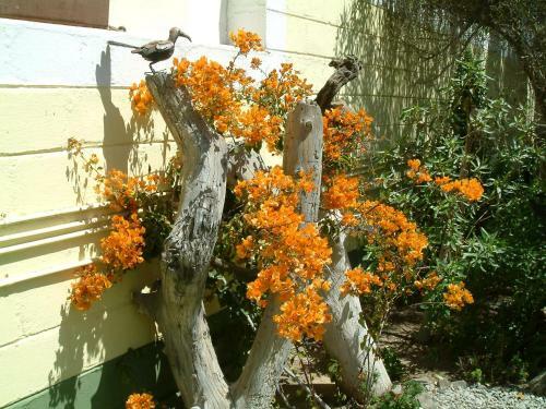 Bed & Breakfast Pension D'avignon