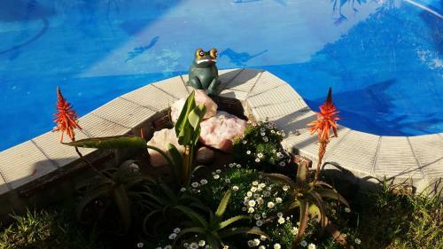 Bed & Breakfast Pension D'avignon